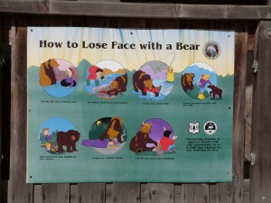 Genre y a des ours ici ... même pas peur!