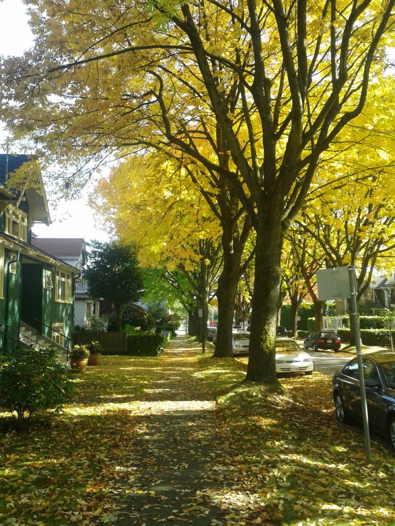 Une rue de Vancouver sous les couleurs automnales